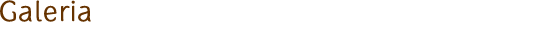galeria